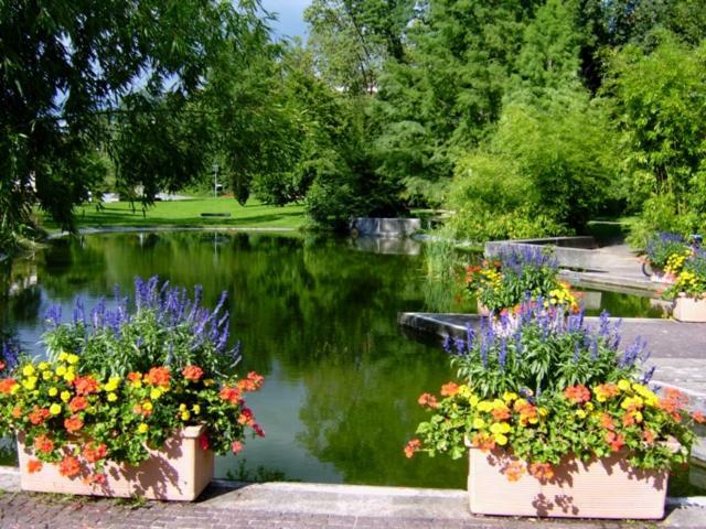 Apartament Lotus Bad Bellingen Zewnętrze zdjęcie