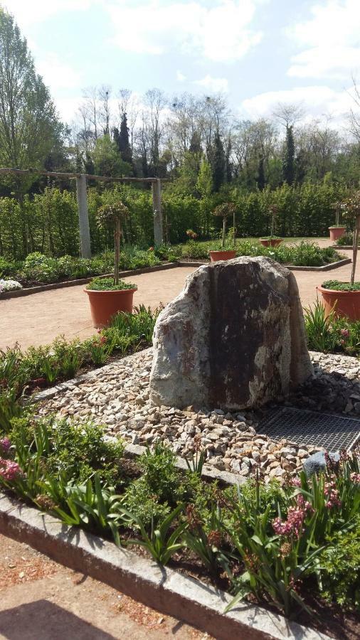 Apartament Lotus Bad Bellingen Zewnętrze zdjęcie