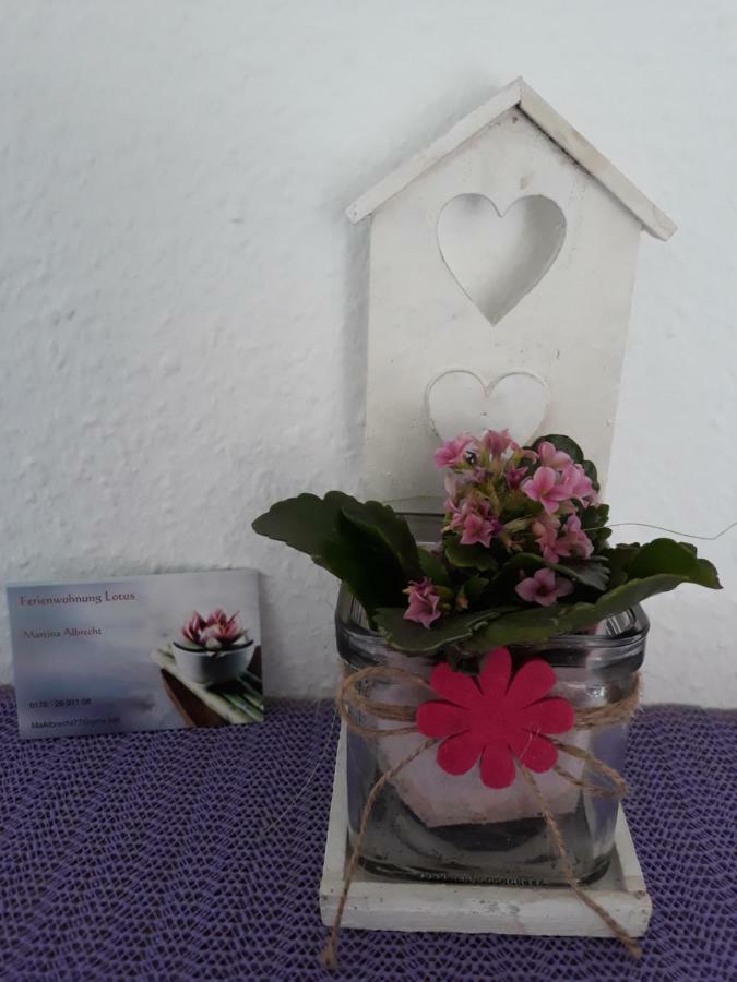 Apartament Lotus Bad Bellingen Zewnętrze zdjęcie