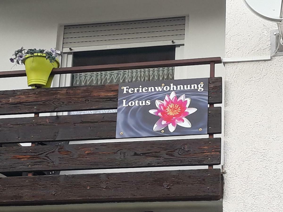 Apartament Lotus Bad Bellingen Zewnętrze zdjęcie